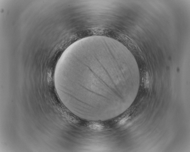 X0000088220610200706121832