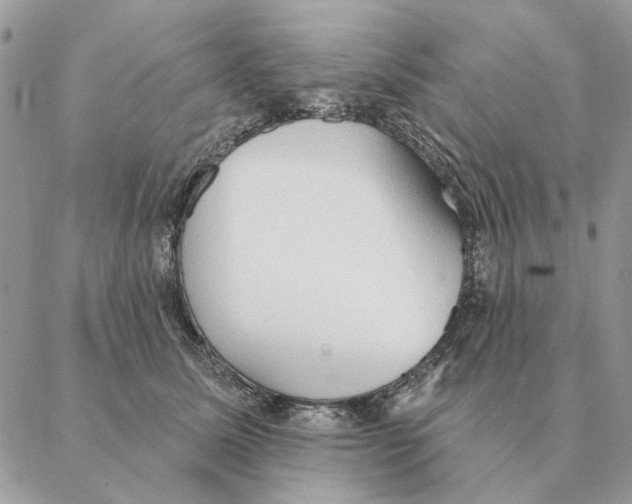 X0000088220611200706121832