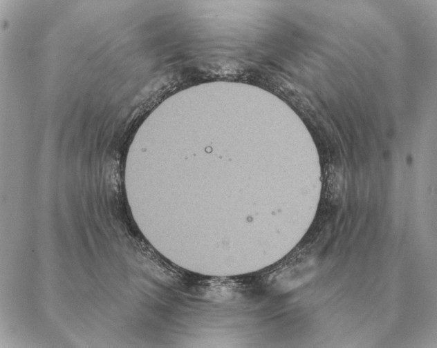 X0000088220612200706121832