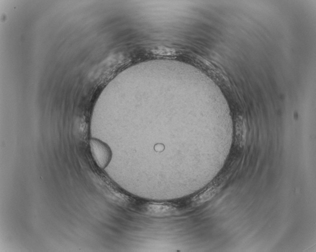 X0000088220614200706121832