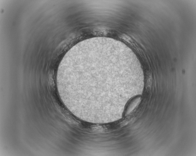 X0000088220616200706121832