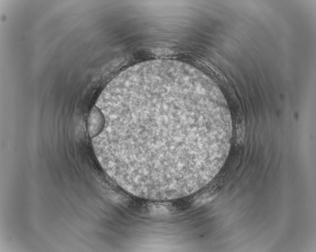 X0000088220618200706121832