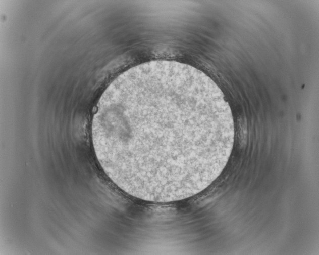 X0000088220619200706121832