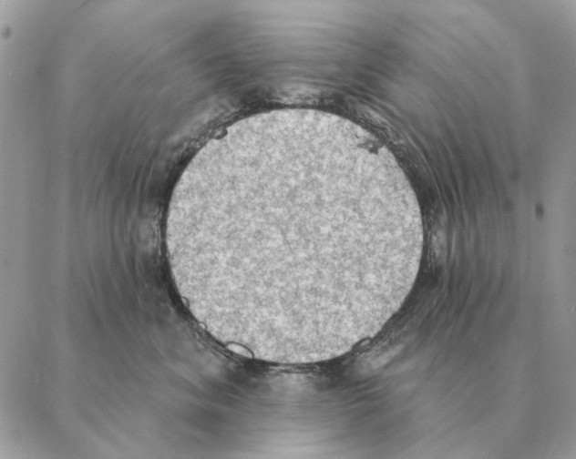 X0000088220620200706121832