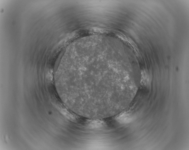 X0000088220621200706121832