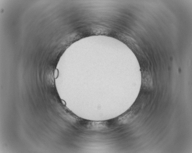 X0000088220622200706121832