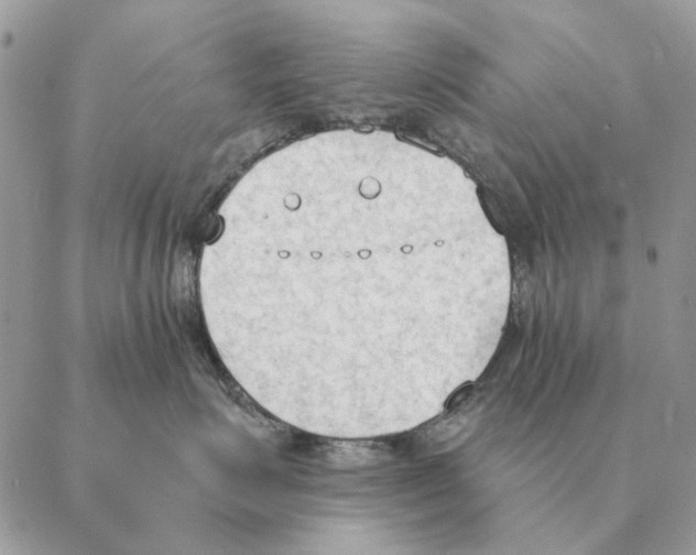 X0000088220623200706121832