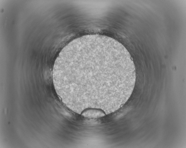 X0000088220624200706121832