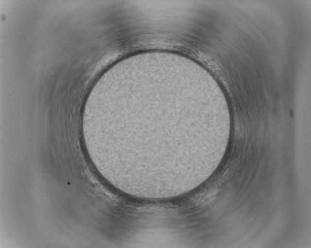 X0000088220625200706121831