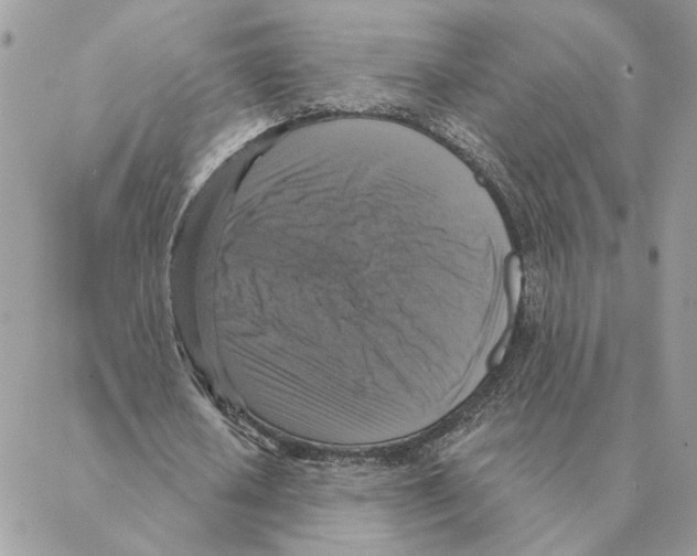 X0000088220626200706121831