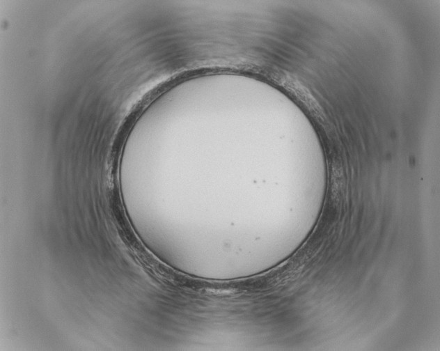 X0000088220628200706121831