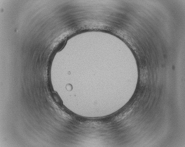 X0000088220629200706121831