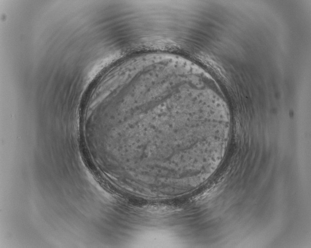 X0000088220630200706121831