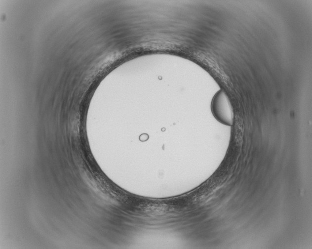 X0000088220631200706121831