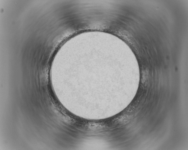 X0000088220632200706121831