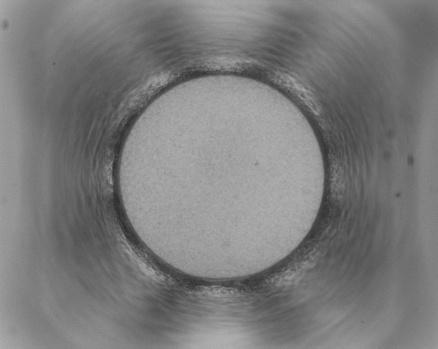 X0000088220633200706121831