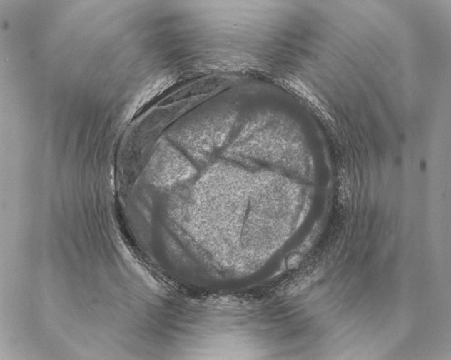 X0000088220634200706121831