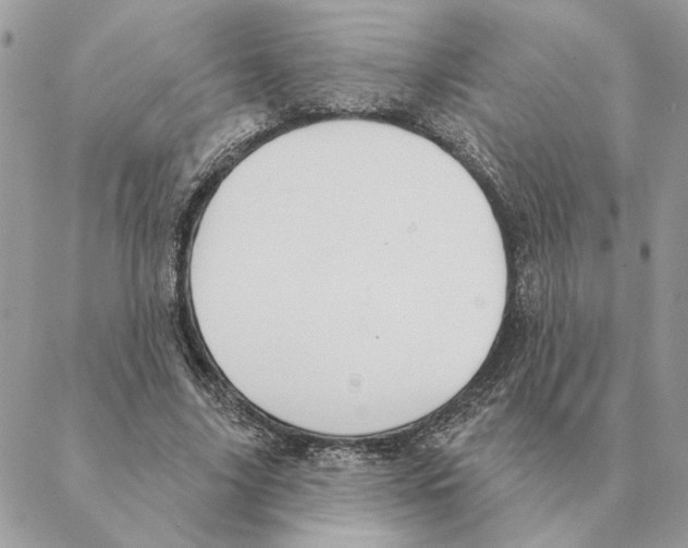 X0000088220635200706121831