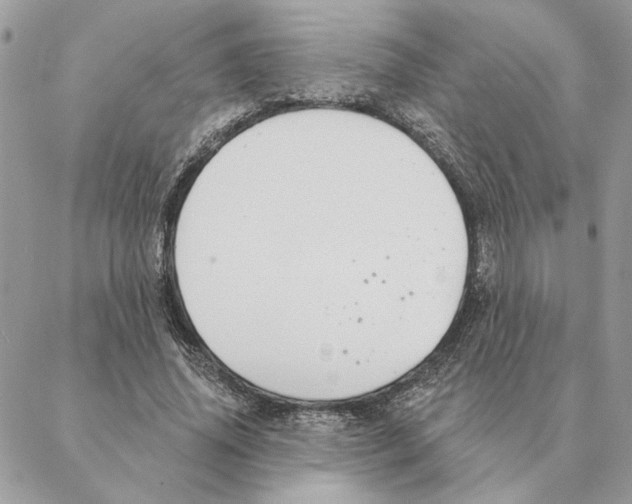 X0000088220636200706121831