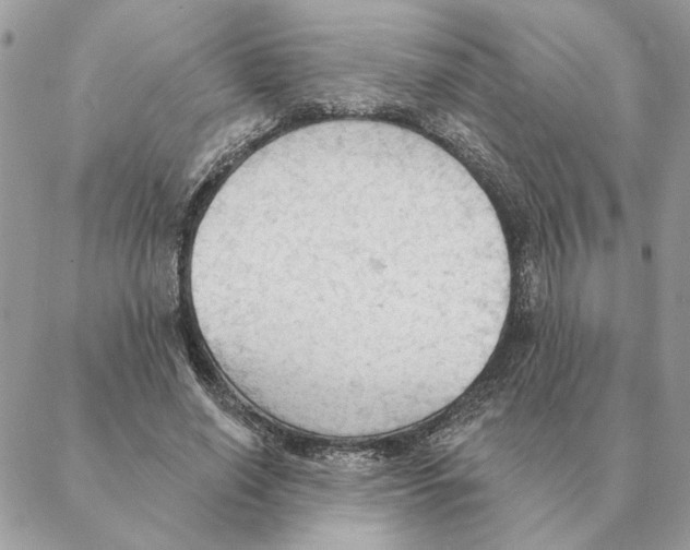 X0000088220638200706121831