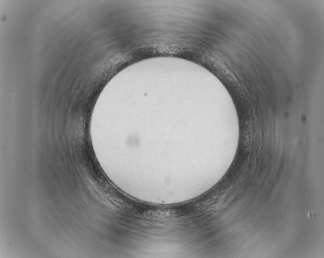 X0000088220639200706121831