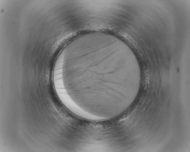 X0000088220640200706121831