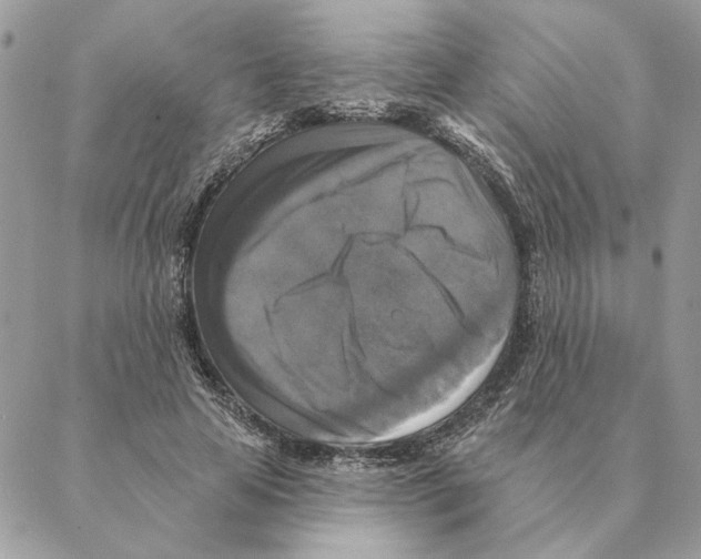 X0000088220641200706121831