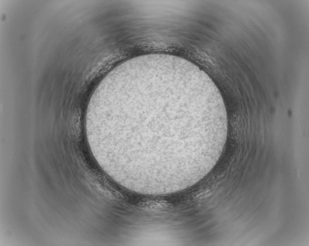 X0000088220642200706121831