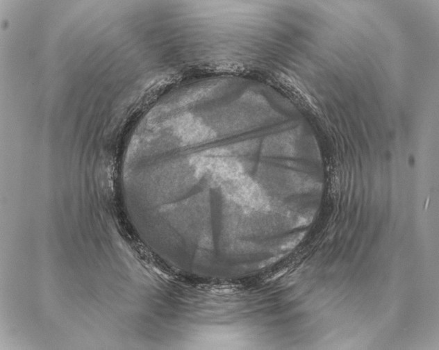 X0000088220643200706121831