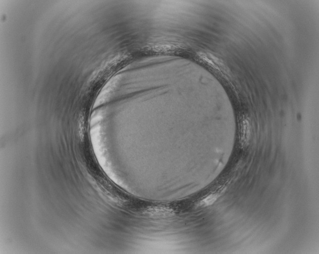 X0000088220644200706121831