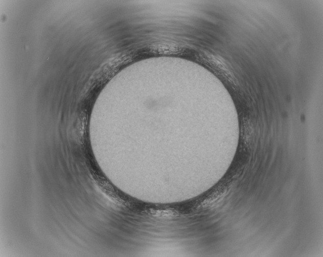 X0000088220645200706121831