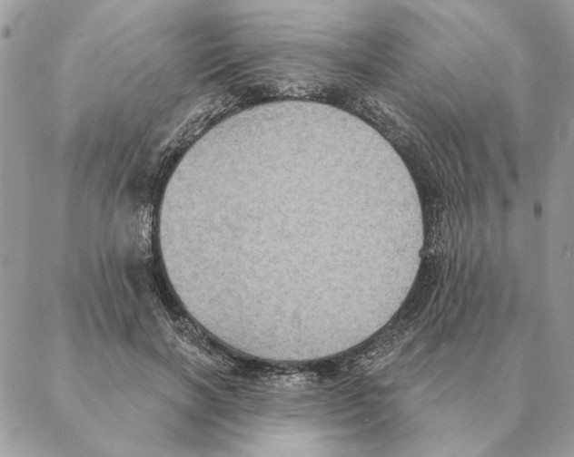 X0000088220646200706121831