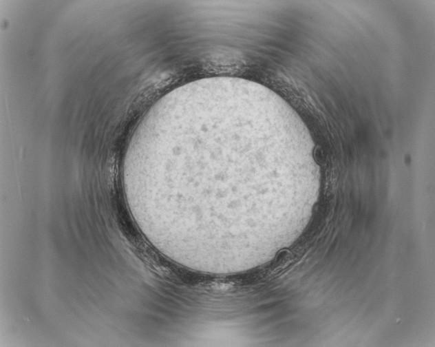 X0000088220647200706121831