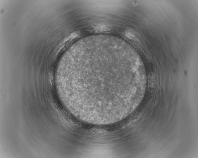 X0000088220648200706121831