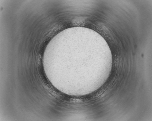 X0000088220649200706121831