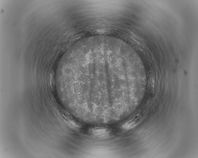 X0000088220651200706121831