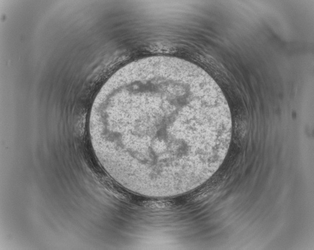 X0000088220652200706121831