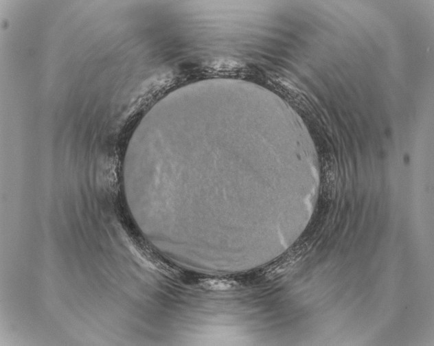 X0000088220654200706121831