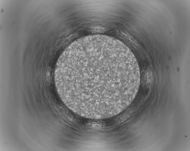 X0000088220655200706121831