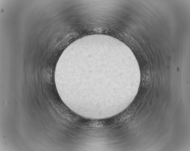 X0000088220656200706121831