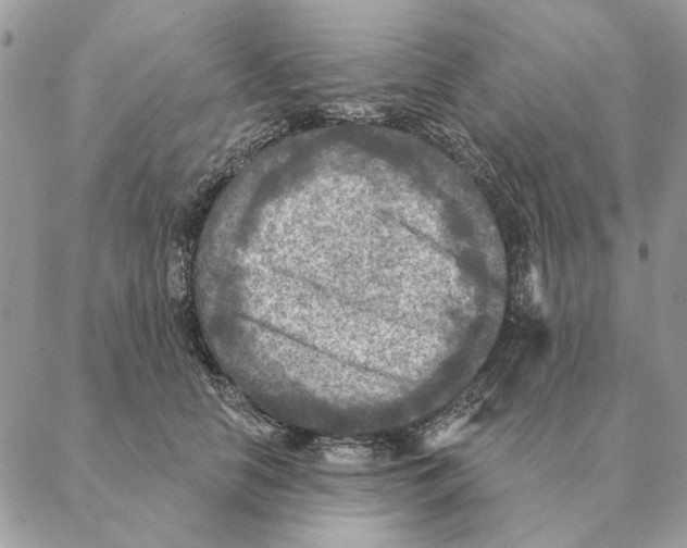 X0000088220658200706121831