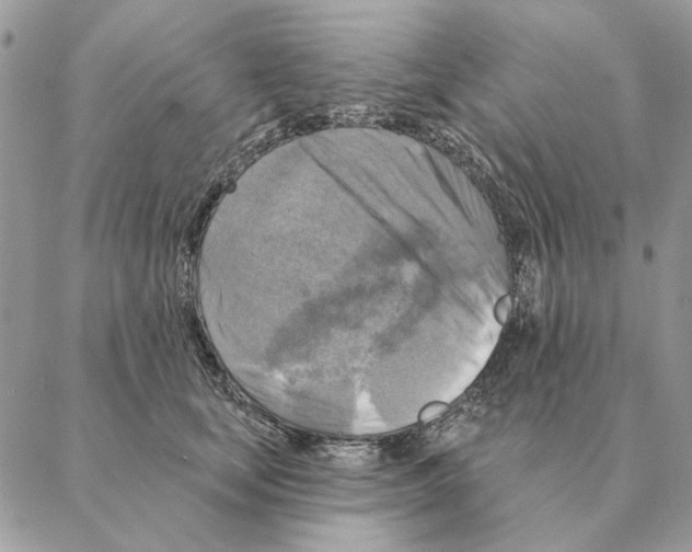 X0000088220659200706121831