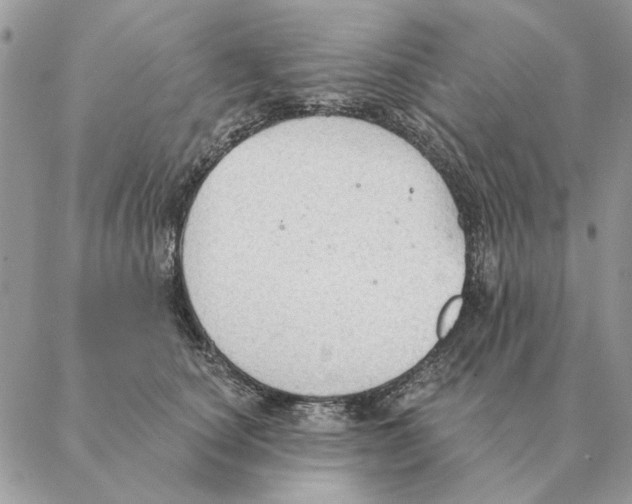 X0000088220660200706121831