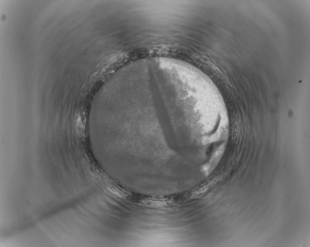 X0000088220661200706121831