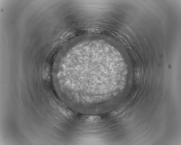 X0000088220663200706121831