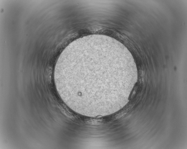 X0000088220664200706121831