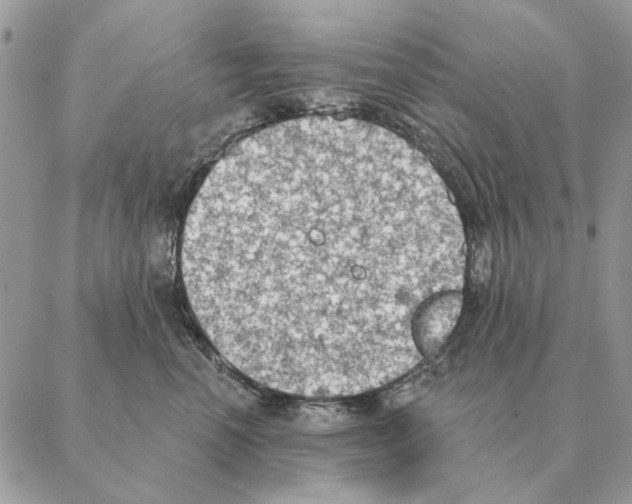 X0000088220666200706121831