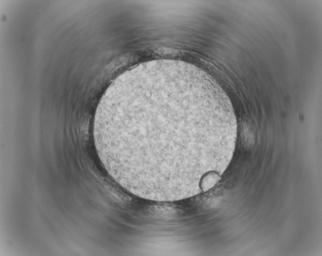 X0000088220668200706121831