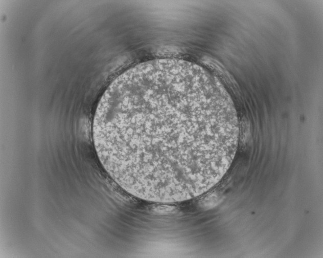 X0000088220669200706121831