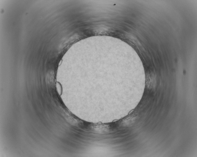 X0000088220670200706121831